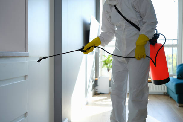 Best Commercial Mold Remediation in Sixteen Mile Stand, OH