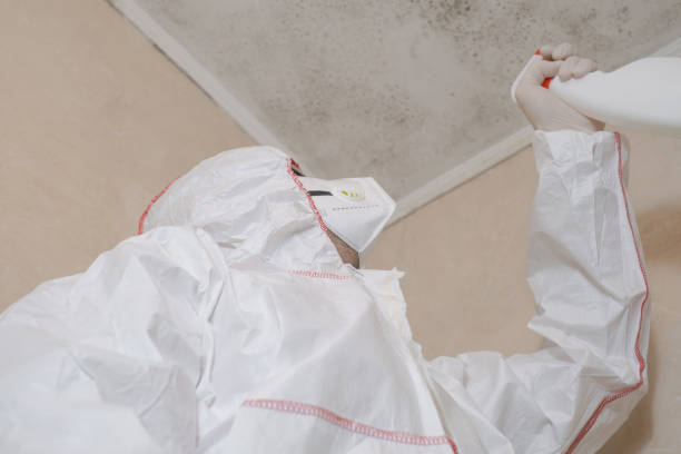 Best Mold Testing and Inspection Services in Sixteen Mile Stand, OH